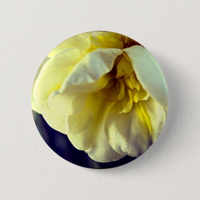 Narcissus Daffodil Pinback Button (Front)