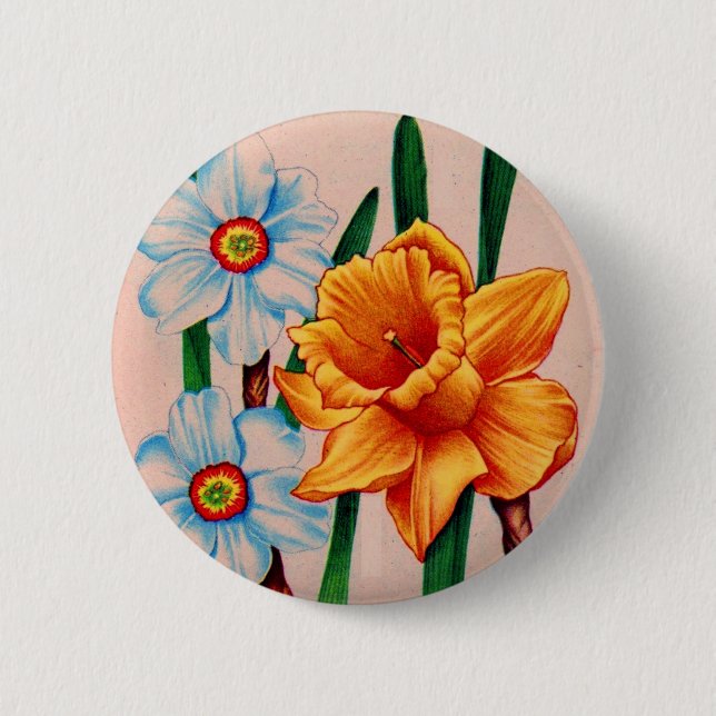narcissus flowers button (Front)