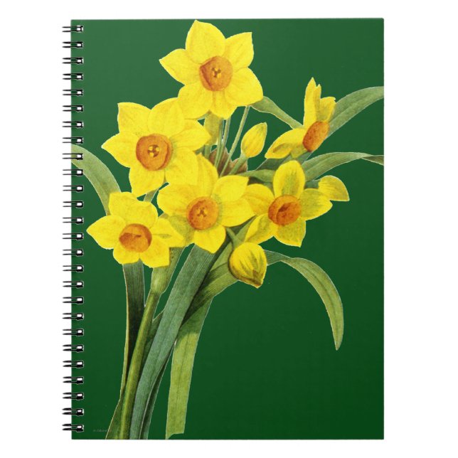 Narcissus (N Tazetta) Notebook (Front)