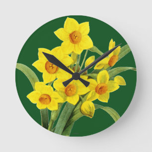Narcissus (N Tazetta) Round Clock