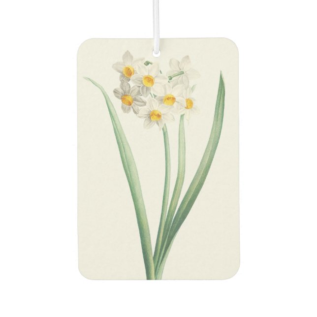 Narcissus, Pierre-Joseph Redouté, 1805 Air Freshener (Front)