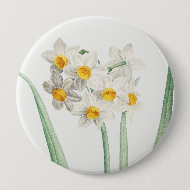 Narcissus, Pierre-Joseph Redouté, 1805 Button (Front)