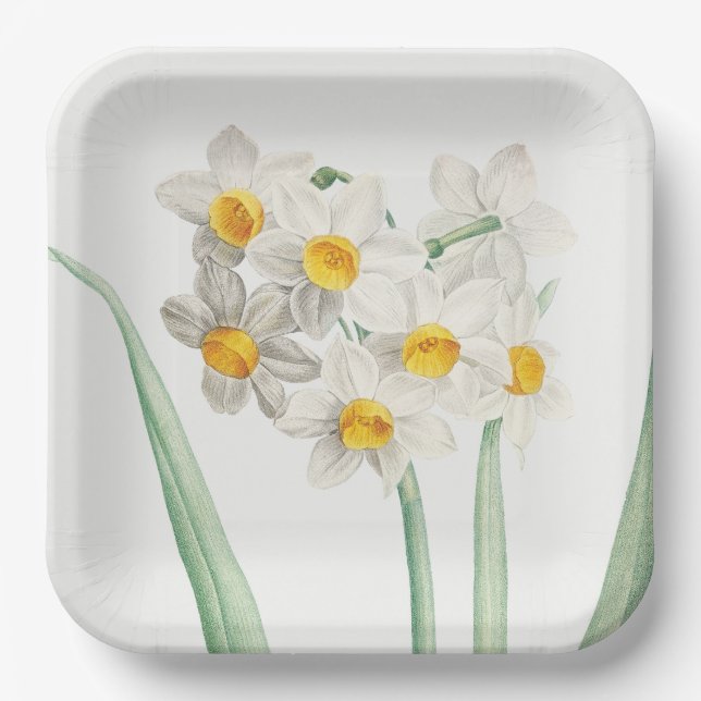 Narcissus, Pierre-Joseph Redouté, 1805 Paper Plates (Front)