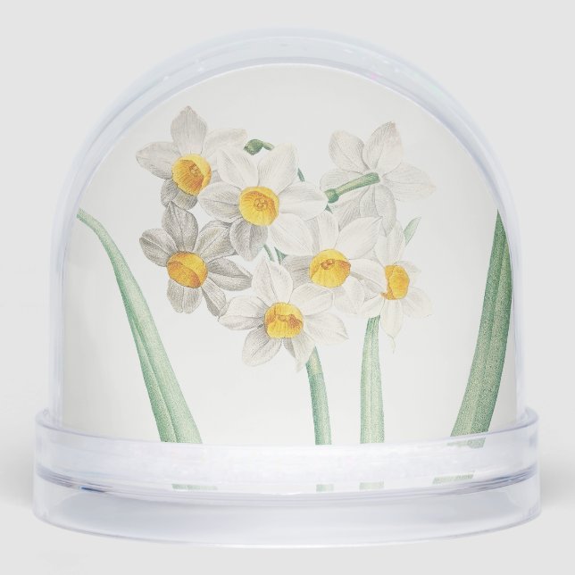Narcissus, Pierre-Joseph Redouté, 1805 Snow Globe (Front)