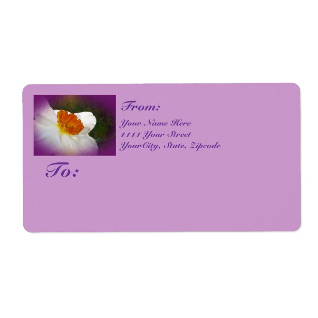 Narcissus - Springtime Beauty Label (Front)