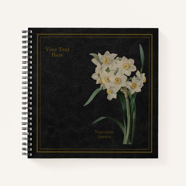 Narcissus tazetta or Chinese sacred Lily Black Notebook (Front)