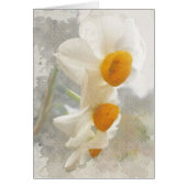 Narcissus. Watercolor. (Front)