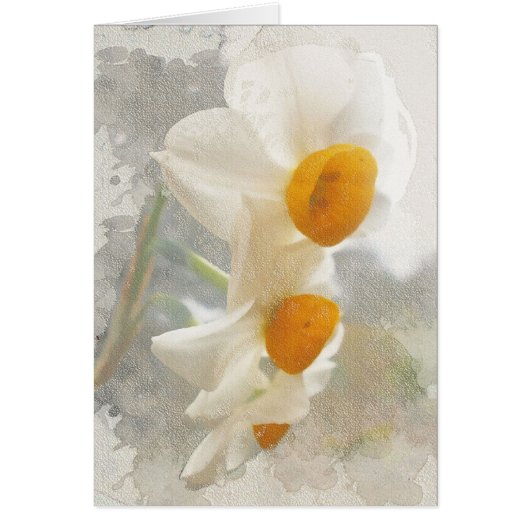Narcissus. Watercolor. Cards (Front)