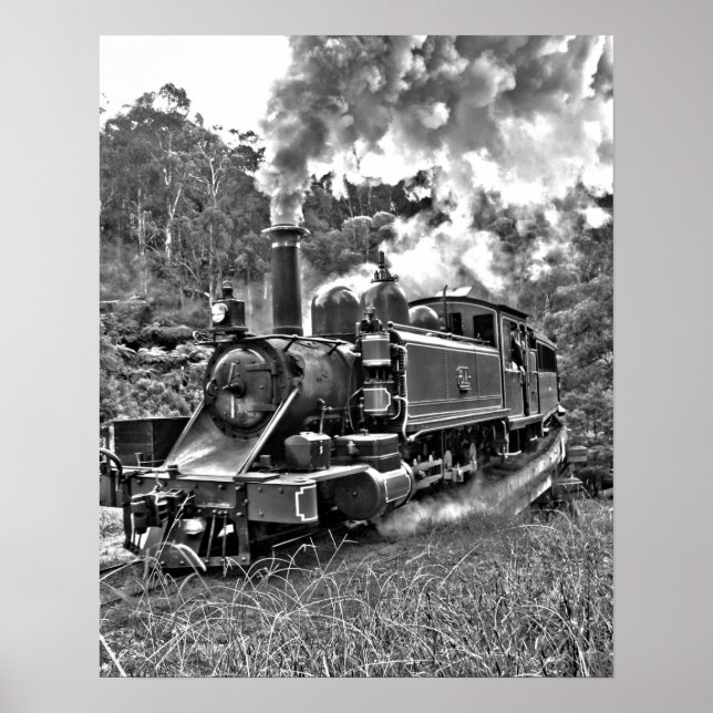 Narrow Gauge Steam Train Black and White Poster (Front)