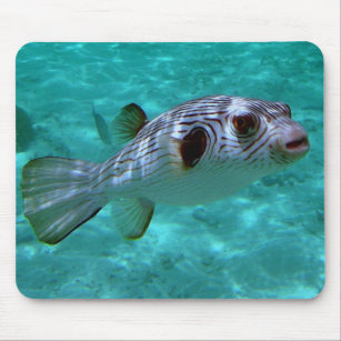 Puffer Fish Mouse Pads & Desk Mats