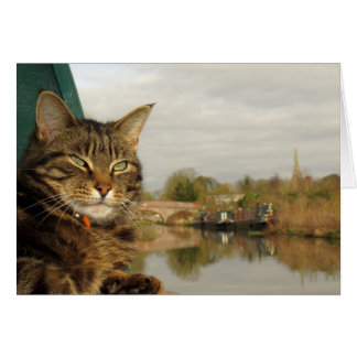 Narrowboat Cat Canal Scene at Braunston. Cards
