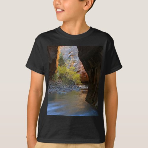 Narrows In Zion National Park T_Shirt