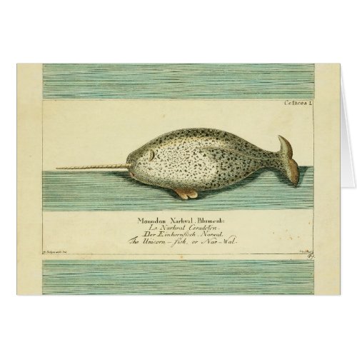 Narwhal Antique Whale Watercolor Painting