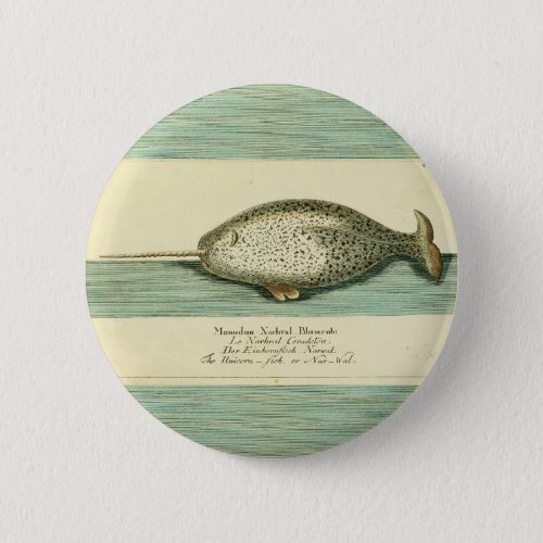 Narwhal Antique Whale Watercolor Painting Button