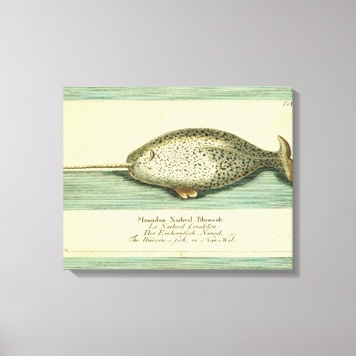 Narwhal Antique Whale Watercolor Painting Canvas Print
