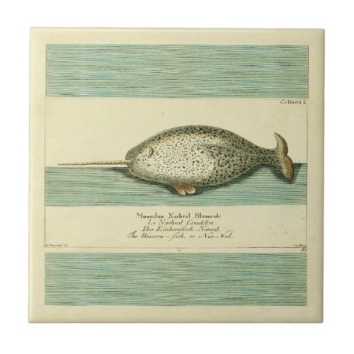 Narwhal Antique Whale Watercolor Painting Ceramic Tile