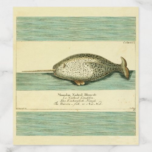Narwhal Antique Whale Watercolor Painting Envelope Liner