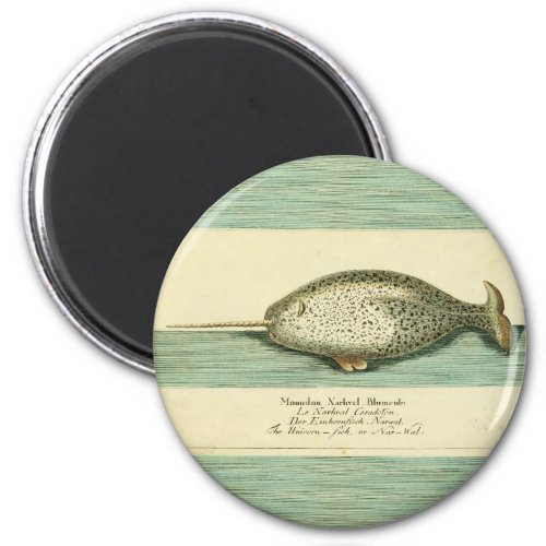 Narwhal Antique Whale Watercolor Painting Magnet
