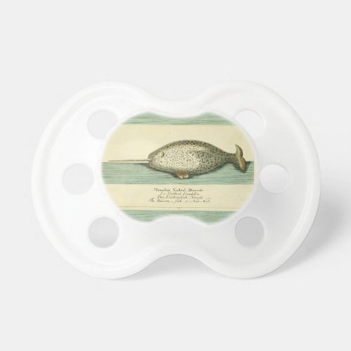 Narwhal Antique Whale Watercolor Painting Pacifier