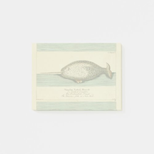 Narwhal Antique Whale Watercolor Painting Post_it Notes