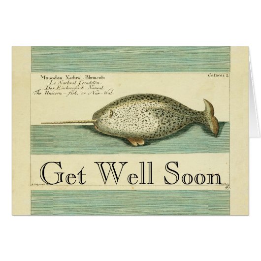 Narwhal Antique Whale Watercolor Scientific Art (Front Horizontal)