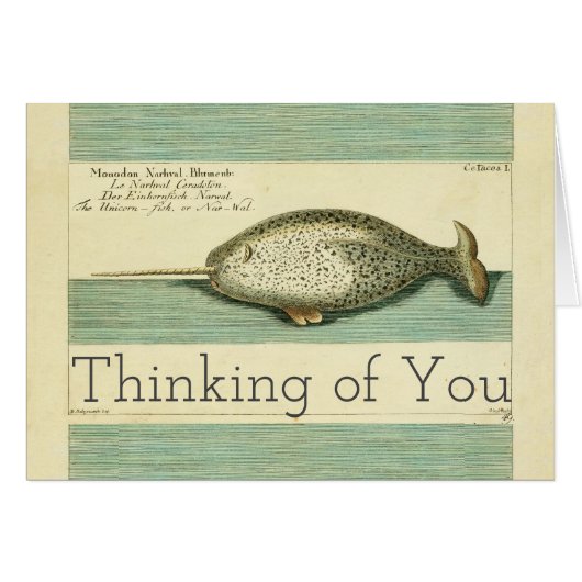 Narwhal Antique Whale Watercolor Scientific Art (Front Horizontal)