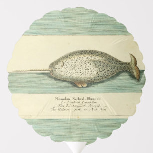 Narwhal Antique Whale Watercolor Scientific Art Balloon