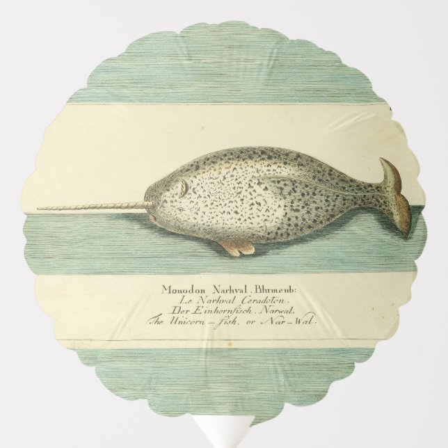 Narwhal Antique Whale Watercolor Scientific Art Balloon (Front)