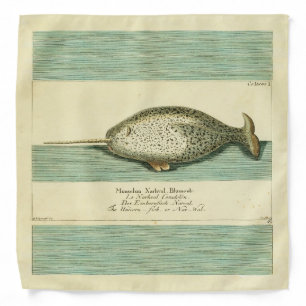 Narwhal Antique Whale Watercolor Scientific Art Bandana