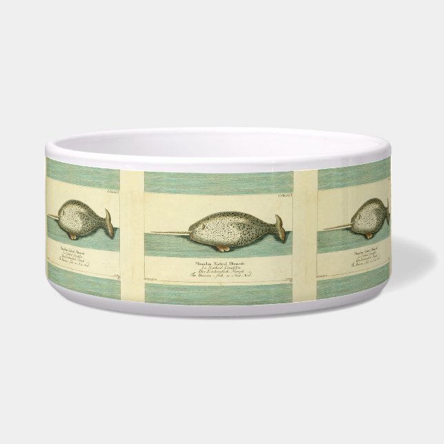 Narwhal Antique Whale Watercolor Scientific Art Bowl (Front)