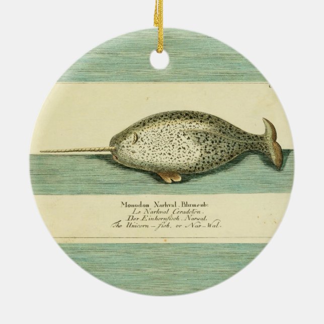 Narwhal Antique Whale Watercolor Scientific Art Ceramic Ornament (Back)