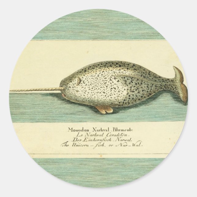 Narwhal Antique Whale Watercolor Scientific Art Classic Round Sticker (Front)