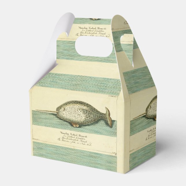 Narwhal Antique Whale Watercolor Scientific Art Favor Boxes (Front Side)