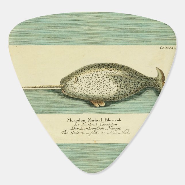 Narwhal Antique Whale Watercolor Scientific Art Guitar Pick (Back)