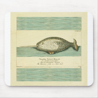 Narwhal Antique Whale Watercolor Scientific Art Mouse Pad