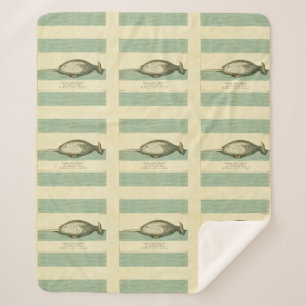 Narwhal Antique Whale Watercolor Scientific Art Sherpa Blanket