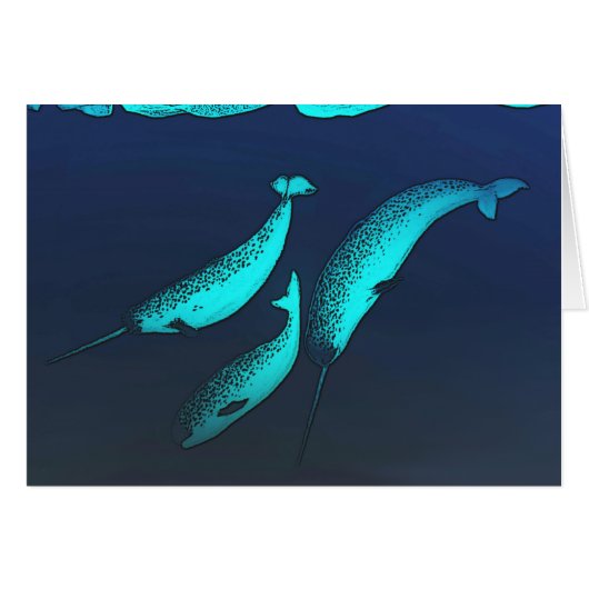 Narwhal Cards (Front Horizontal)
