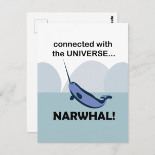 Narwhal Connected With The Universe Funny Postcard