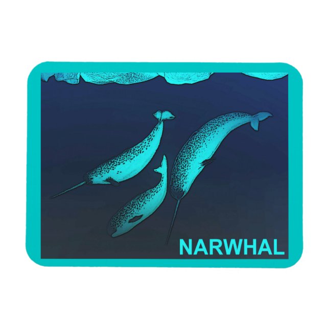 Narwhal Magnet (Horizontal)