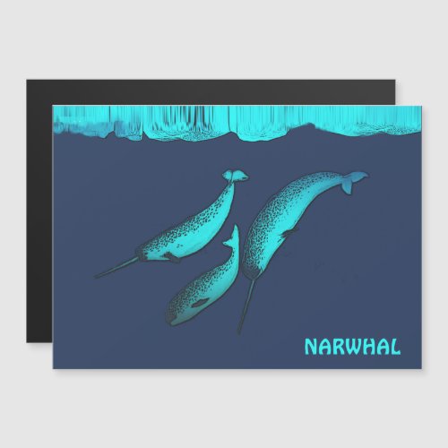Narwhal  Under The Ice
