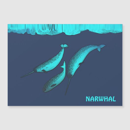 Narwhal  Under The Ice (Front)