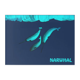 Narwhal Under The Ice Acrylic Print