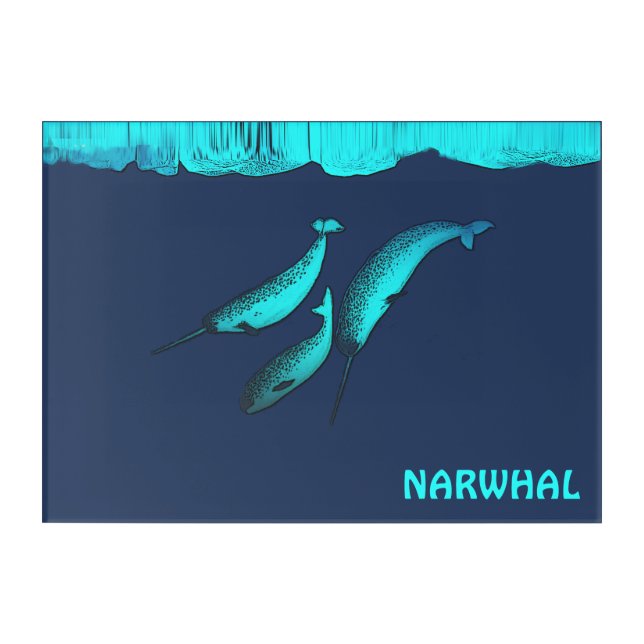 Narwhal Under The Ice Acrylic Print (Front)