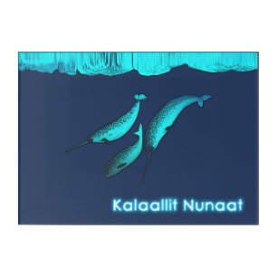 Narwhal Under The Ice - Greenland Acrylic Print