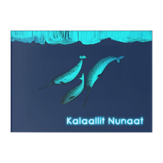Narwhal Under The Ice - Greenland Acrylic Print (Front)