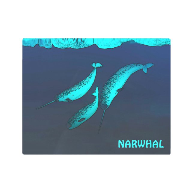 Narwhal Under The Ice Metal Print (Front)