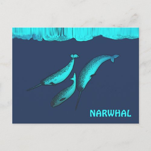Narwhal  Under The Ice Postcard