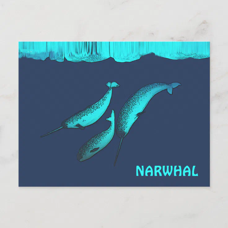Narwhal Under The Ice Postcard | Zazzle