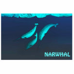 Narwhal Under The Ice Statuette<br><div class="desc">Features three narwhals, Monodon monoceros, swimming under the Arctic ice. Add your own text. The narwhal is related to the Beluga whale and lives in the Arctic year-round. They are found primarily in the waters of Greenland and Canada rarely south of 65°N latitude. Males weigh up to 1, 600 kilograms...</div>
