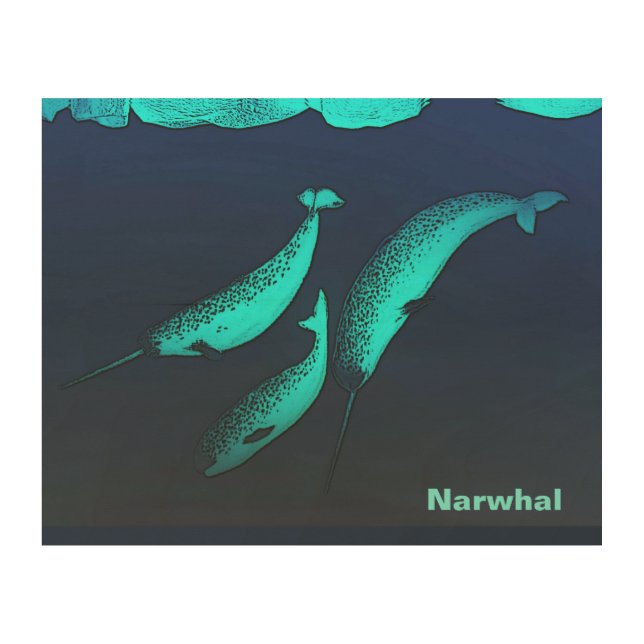 Narwhal  Under The Ice Wood Wall Art (Front)
